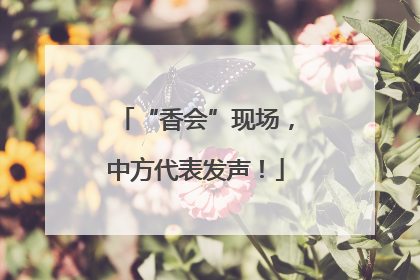 “香会”现场，中方代表发声！