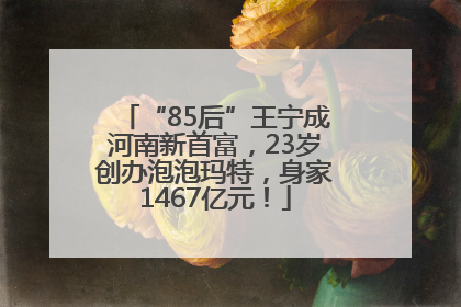 “85后”王宁成河南新首富，23岁创办泡泡玛特，身家1467亿元！