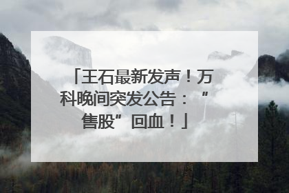 王石最新发声！万科晚间突发公告：“售股”回血！