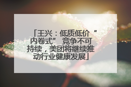 王兴：低质低价“内卷式” 竞争不可持续，美团将继续推动行业健康发展