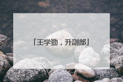 王学勤，升副部
