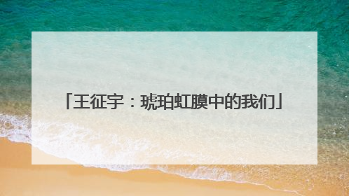 王征宇：琥珀虹膜中的我们