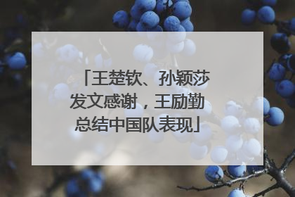 王楚钦、孙颖莎发文感谢，王励勤总结中国队表现