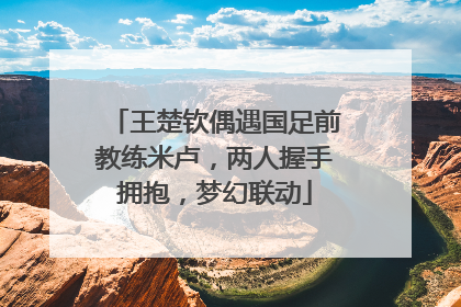 王楚钦偶遇国足前教练米卢，两人握手拥抱，梦幻联动