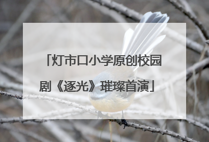 灯市口小学原创校园剧《逐光》璀璨首演
