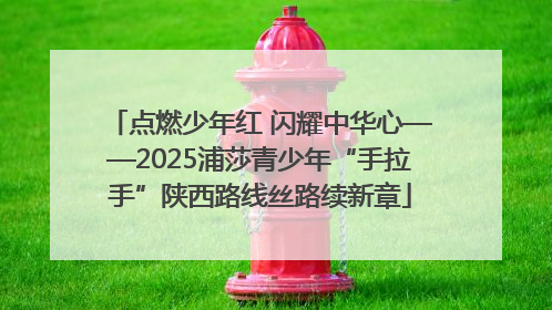 点燃少年红 闪耀中华心——2025浦莎青少年“手拉手”陕西路线丝路续新章