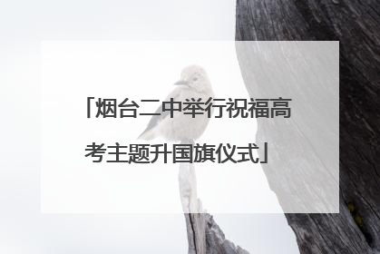 烟台二中举行祝福高考主题升国旗仪式