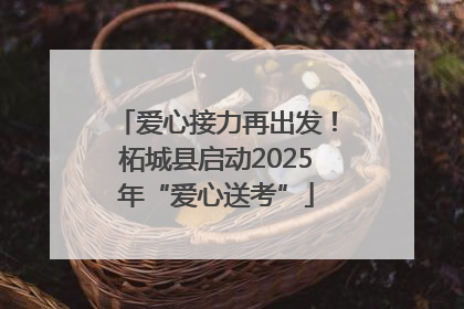 爱心接力再出发！柘城县启动2025年“爱心送考”
