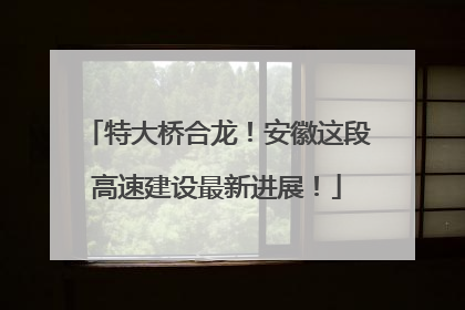 特大桥合龙！安徽这段高速建设最新进展！
