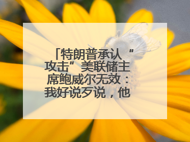 特朗普承认“攻击”美联储主席鲍威尔无效：我好说歹说，他就是不降息
