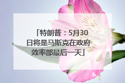 特朗普：5月30日将是马斯克在政府效率部最后一天