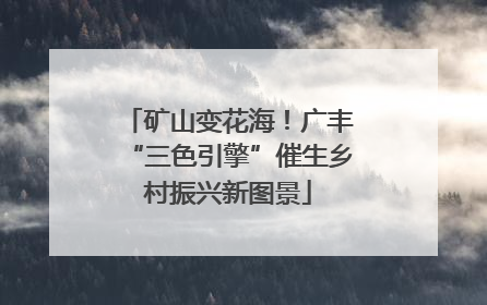 矿山变花海！广丰“三色引擎”催生乡村振兴新图景