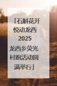 石斛花开 悦动龙西 2025龙西乡荧光村跑活动圆满举行