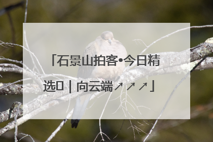 石景山拍客•今日精选⑳｜向云端↗↗↗