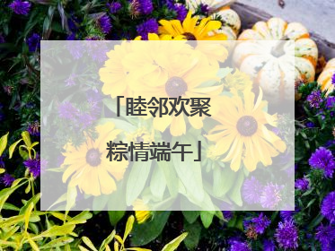 睦邻欢聚 粽情端午