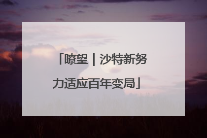 瞭望｜沙特新努力适应百年变局