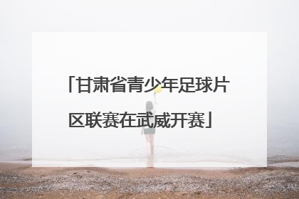 甘肃省青少年足球片区联赛在武威开赛