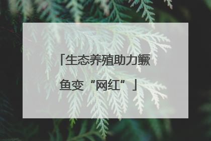 生态养殖助力鳜鱼变“网红”