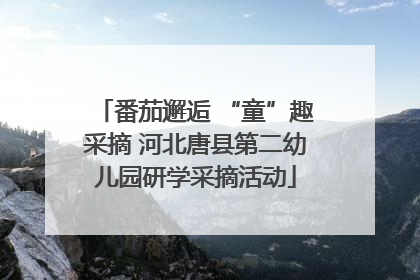 番茄邂逅 “童”趣采摘 河北唐县第二幼儿园研学采摘活动