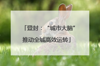 登封：“城市大脑”推动全城高效运转