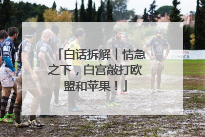 白话拆解丨情急之下，白宫敲打欧盟和苹果！