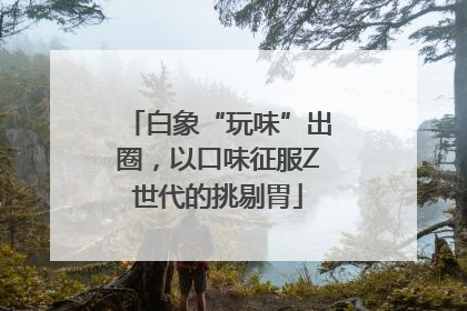 白象“玩味”出圈，以口味征服Z世代的挑剔胃