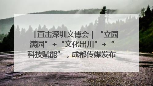 直击深圳文博会｜“立园满园”+“文化出川”+“科技赋能”，成都传媒发布三大文创领域合作清单
