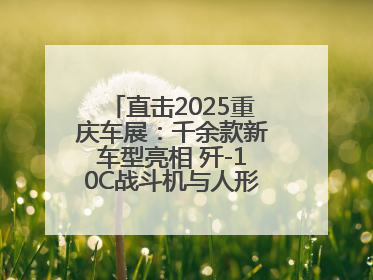 直击2025重庆车展：千余款新车型亮相 歼-10C战斗机与人形机器人引关注