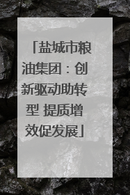 盐城市粮油集团：创新驱动助转型 提质增效促发展