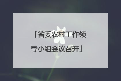 省委农村工作领导小组会议召开