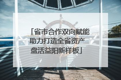 省市合作双向赋能 助力打造全省资产盘活益阳新样板