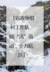 省政协驻村工作队：闻“汛”而动，全力抗洪
