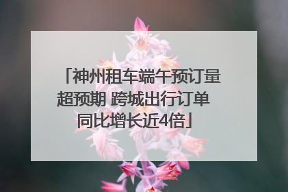 神州租车端午预订量超预期 跨城出行订单同比增长近4倍