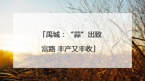 禹城：“蒜”出致富路 丰产又丰收