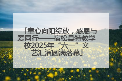 童心向阳绽放，感恩与爱同行——宿松县特教学校2025年“六一”文艺汇演圆满落幕