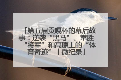 第五届贡嘎杯的幕后故事：逆袭“黑马”、常胜“将军”和高原上的“体育奇迹”丨微纪录