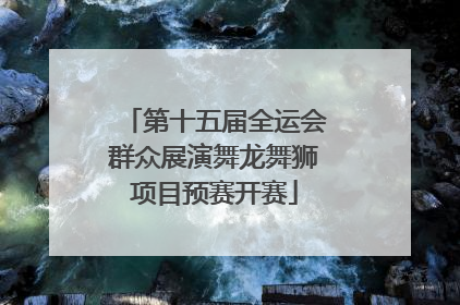 第十五届全运会群众展演舞龙舞狮项目预赛开赛