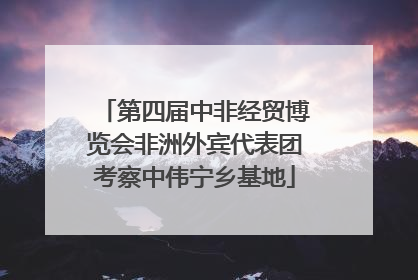 第四届中非经贸博览会非洲外宾代表团考察中伟宁乡基地