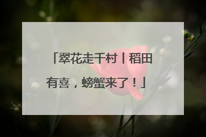 翠花走千村丨稻田有喜，螃蟹来了！