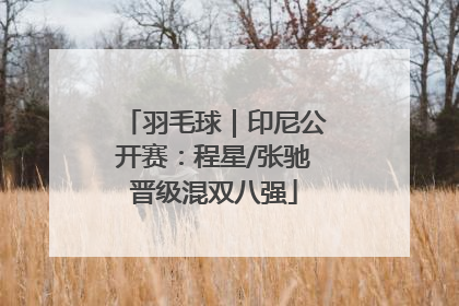 羽毛球｜印尼公开赛：程星/张驰晋级混双八强