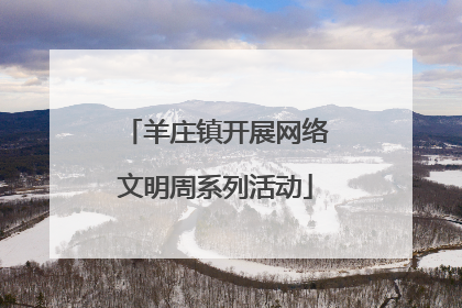 羊庄镇开展网络文明周系列活动