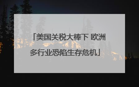 美国关税大棒下 欧洲多行业恐陷生存危机