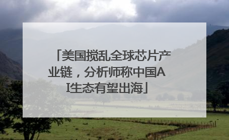 美国搅乱全球芯片产业链，分析师称中国AI生态有望出海