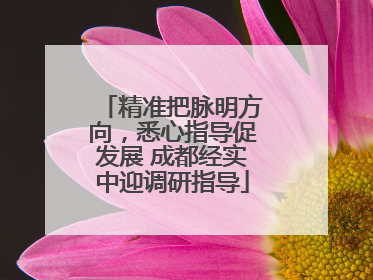 精准把脉明方向，悉心指导促发展 成都经实中迎调研指导