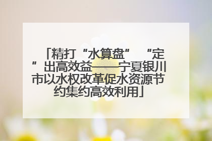 精打“水算盘” “定”出高效益——宁夏银川市以水权改革促水资源节约集约高效利用