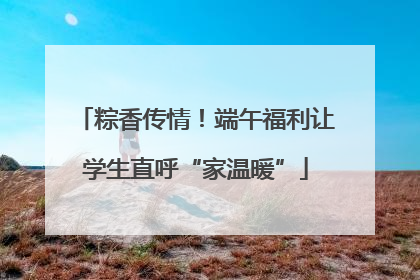 粽香传情！端午福利让学生直呼“家温暖”
