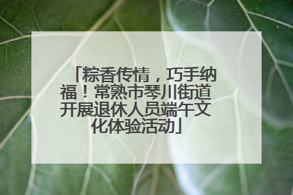 粽香传情，巧手纳福！常熟市琴川街道开展退休人员端午文化体验活动