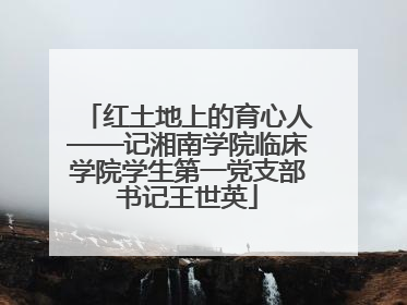 红土地上的育心人——记湘南学院临床学院学生第一党支部书记王世英