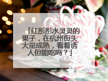 红彤彤水灵灵的果子，在杭州街头大量成熟，看着诱人但能吃吗？