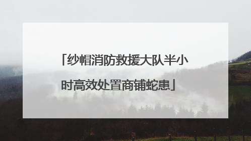 纱帽消防救援大队半小时高效处置商铺蛇患